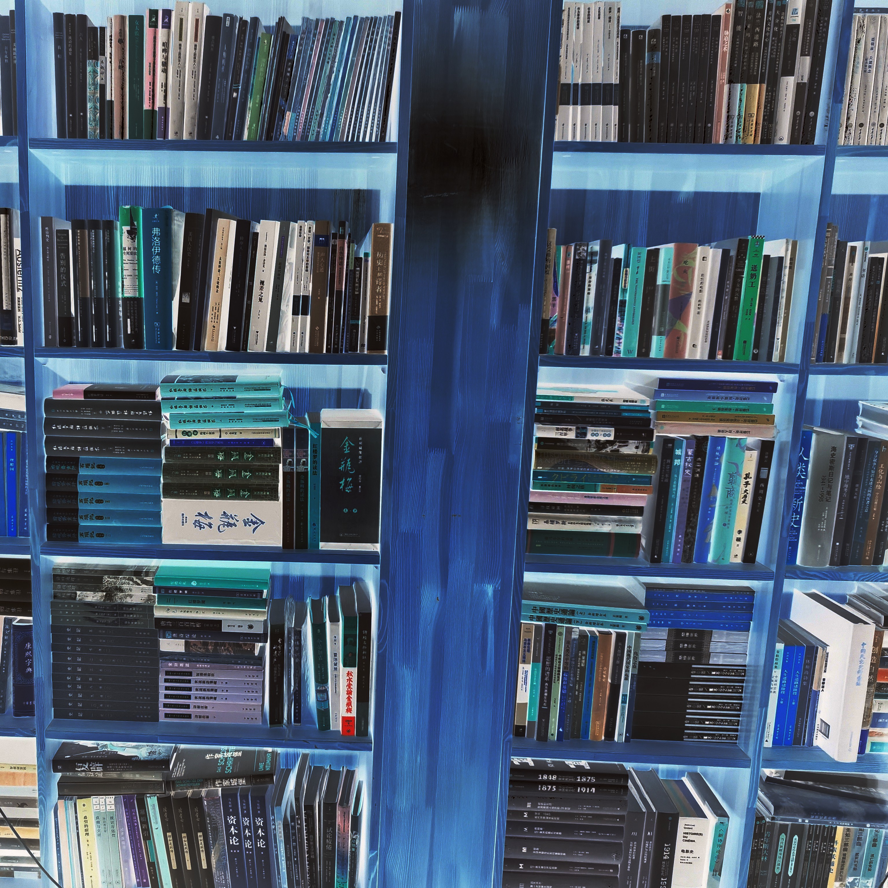 Lin Li's bookshelf